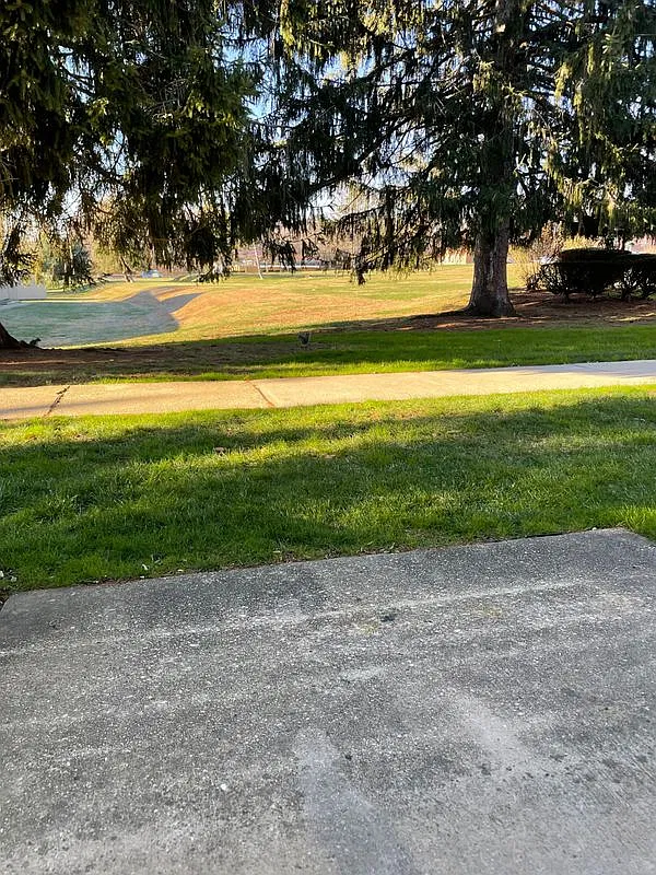 2 bed, 1.0 bath, 766 sqft, $1,300 — Photo 3