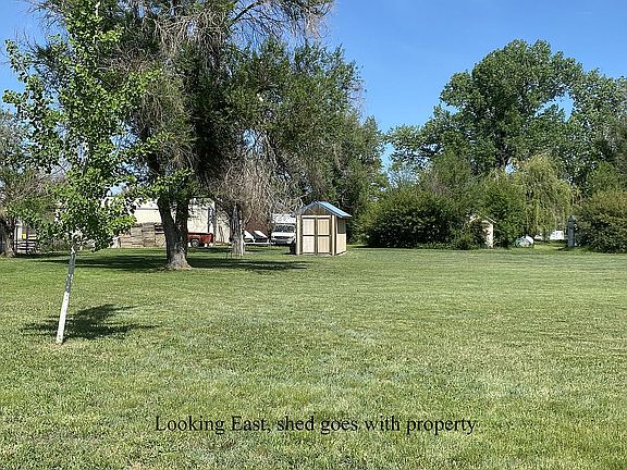 Lots with shed looking East 