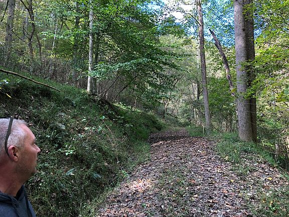 3rd image of Off Scary Creek Road Rte #22