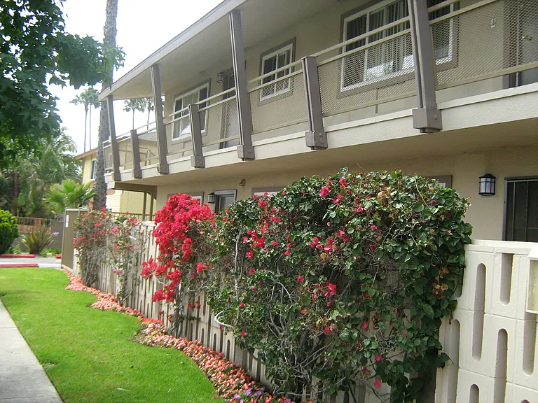 Pacifica Apartments — Photo 16