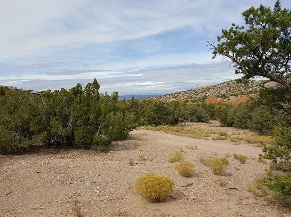 Tres Amigos Rd, Placitas, NM 87043