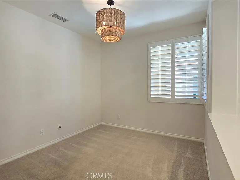 29 Carnation — Photo 15