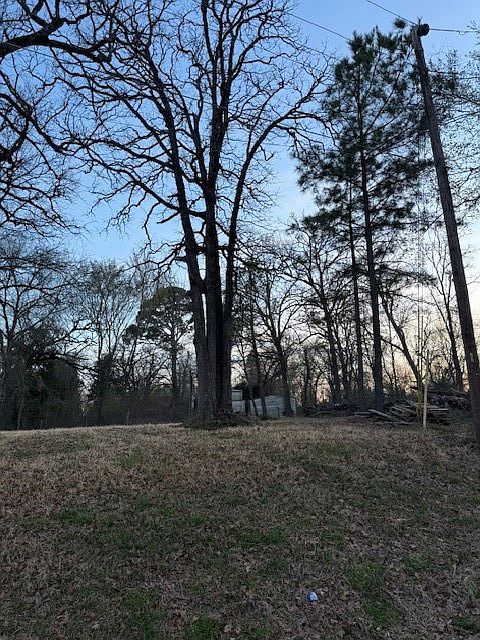 2nd image of 125 Lynn Creek Dr