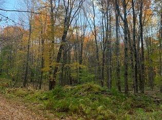 0 Sunrise Mountain Rd #17, Bloomville, NY 13739