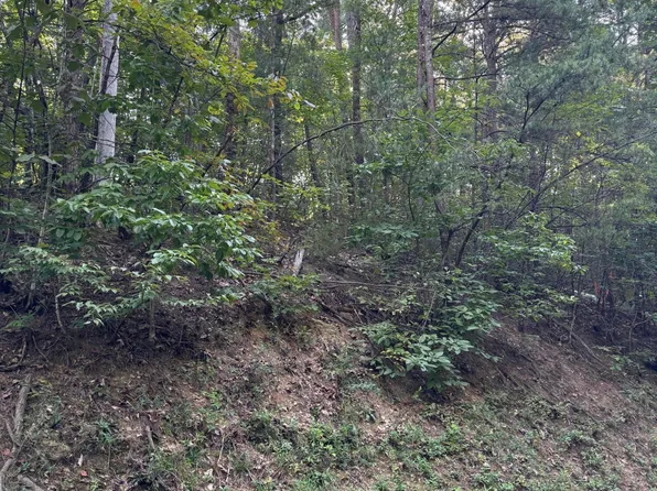 Progess Hill Drive Blvd, Pigeon Forge, TN 37863