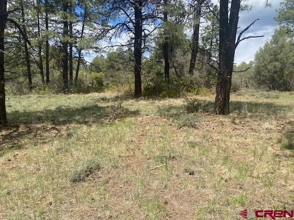70 Kay's Court, Pagosa Springs, CO 81147