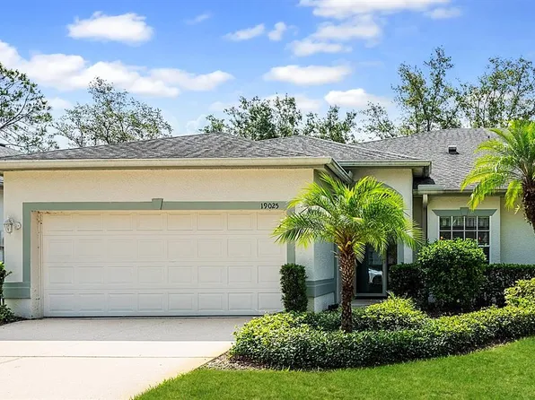 19025 Callaway Ct, Tampa, FL 33647