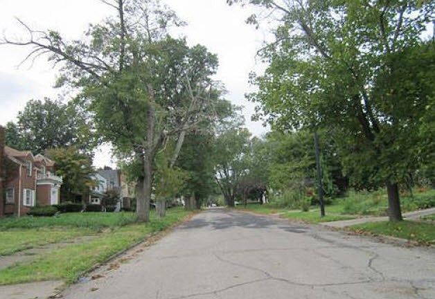 2nd image of 205 Outlook Ave