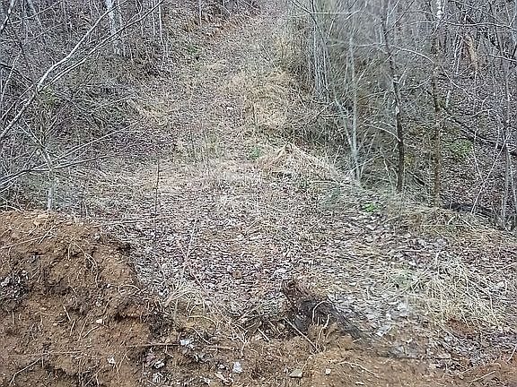 4th image of 1 Moores Br