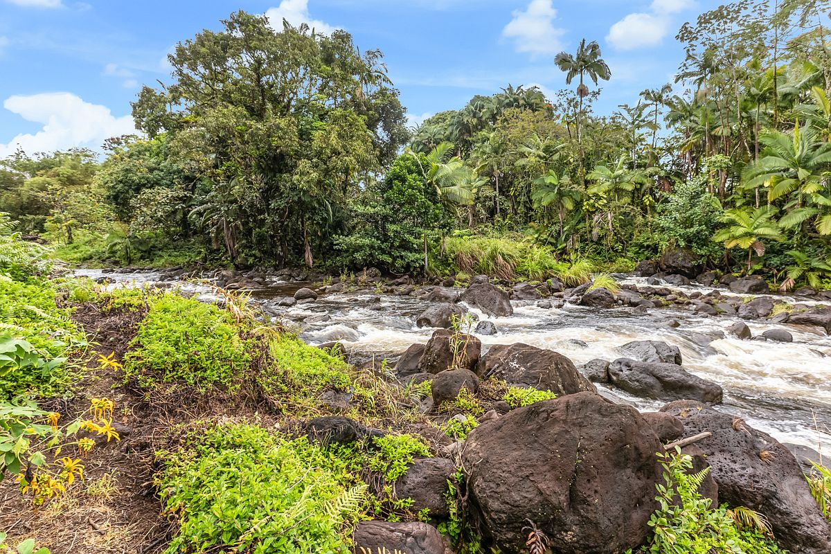 27-2076 Hawaii Belt Rd, Papaikou, HI 96781 | MLS #709159 | Zillow