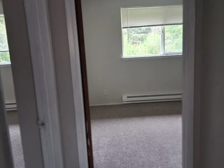 Rainier Vista — Photo 14