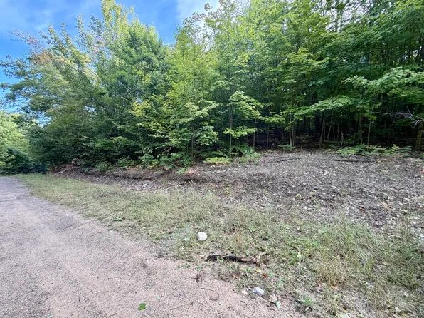 Deerfield Trl, Boyne Falls, MI 49713