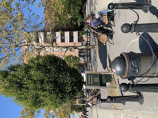 Rented by Bahar Management | media 9