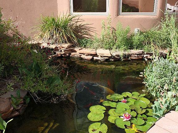 mesilla home for sale,  www.lascrucesnmproperrties.com, zane fikany, connie hettinga, (22)