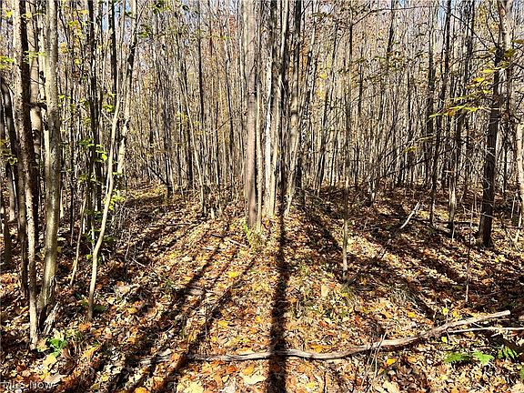 4th image of Marrian Rd