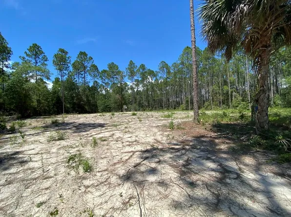0 TBT NW Sugar Hill Rd, Steinhatchee, FL 32359