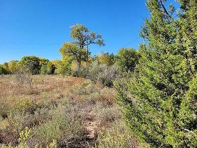 1st image of 97 County Road 97