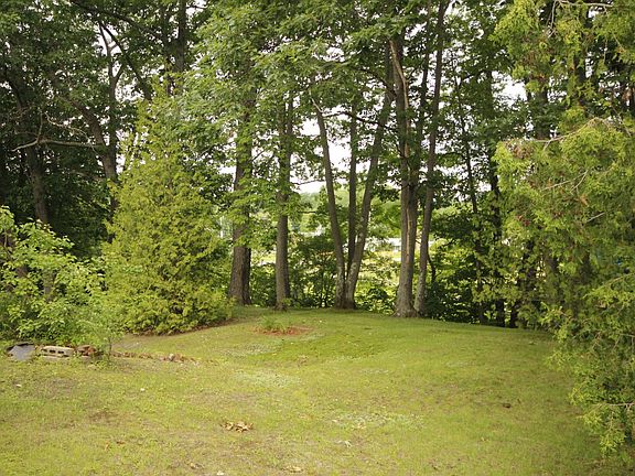 Plenty of shade during the summer months.