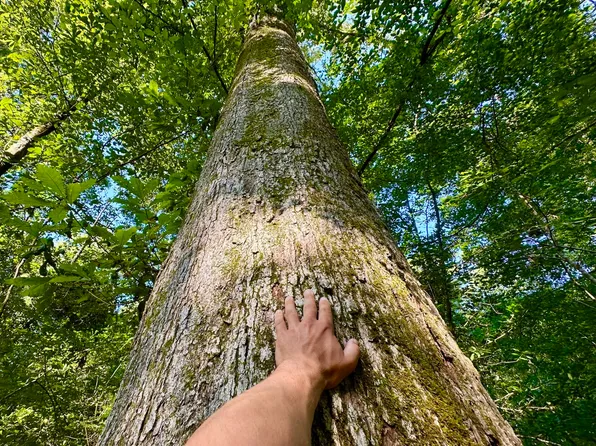 0 Merrill Salem Rd, Mc Lain, MS 39456