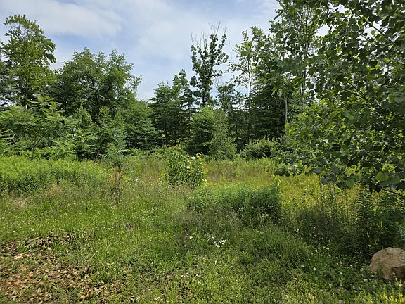 4th image of 9285 Sassafras Trl #78