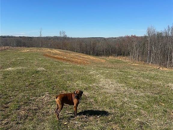 2nd image of 8451 Witty Rd