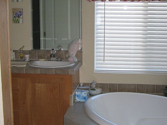 Master Bathi w/ Garden tub amd walk in shower