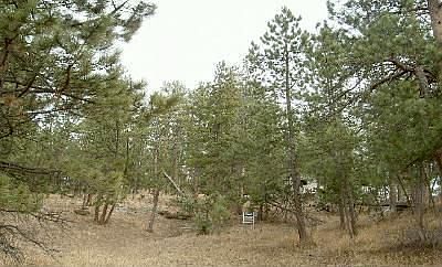 4489 Blue Spruce Road