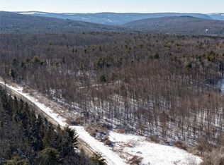 3745 Brink Hill Rd #15, Naples, NY 14512