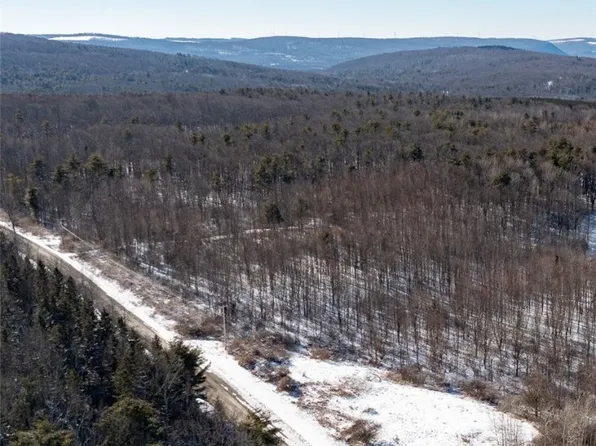 3745 Brink Hill Rd #15, Naples, NY 14512