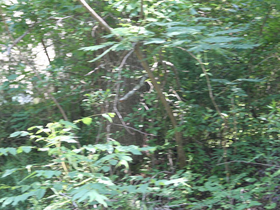 2nd image of 7507 Old Bradford Rd