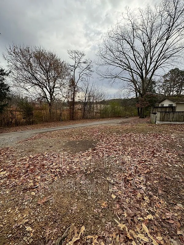 3 bed, 2.0 bath, $995 — Photo 2