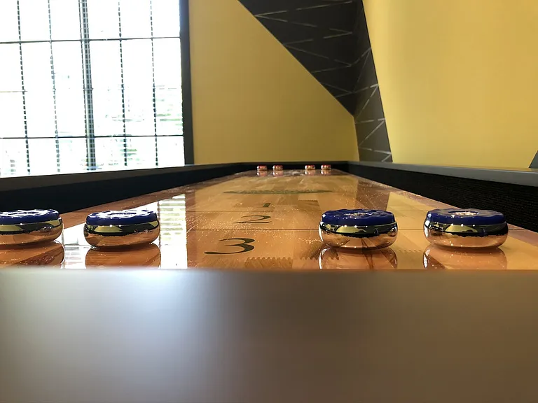 Shuffleboard