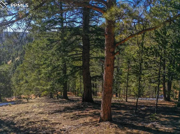 507 Horseshoe Dr, Divide, CO 80814