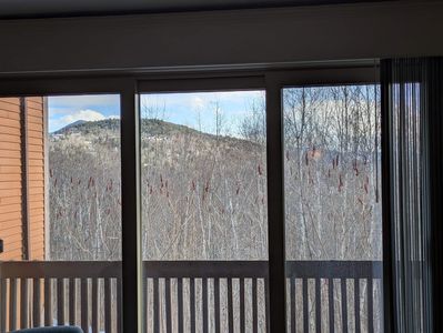 E 51 Nordic Lane UNIT E, Bartlett, NH, 03812