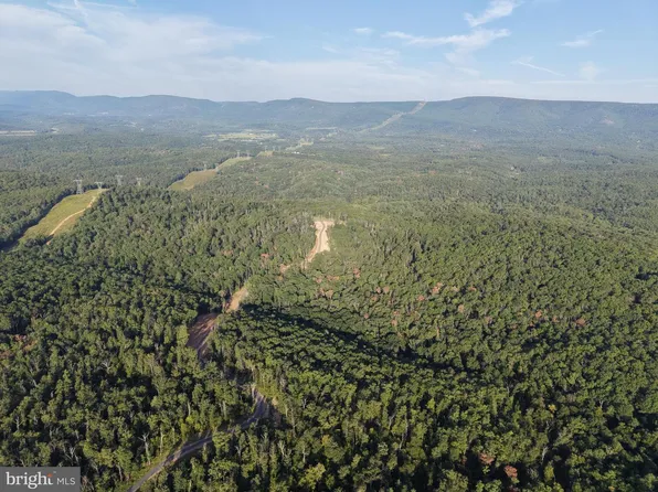 TRACT 1 15244/acres, Off Of Laurel Grove Road Winchester, VA 22602
