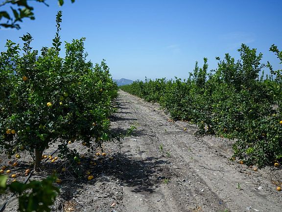 Ventura-County-306-Acres-Lemon-Grove-Sale