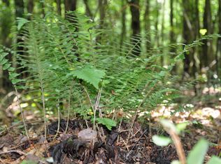 LOT 3 Johnston Rd LOT 3, Mc Donald, TN 37353