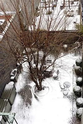 Rented by Owner | media 25