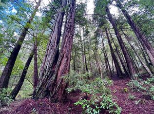 8331 Flynn Creek Rd, Comptche, CA 95427