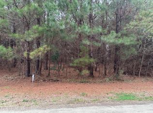 Near 51 Gores Drive, Clarendon, NC 28432