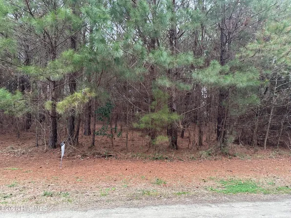 Near 51 Gores Drive, Clarendon, NC 28432