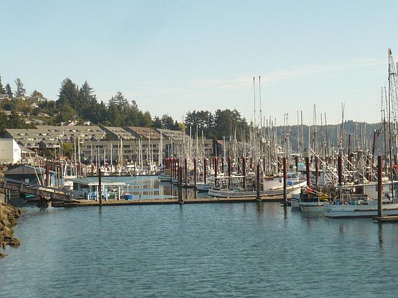 3rd image of 1000 SE Bay Blvd #136