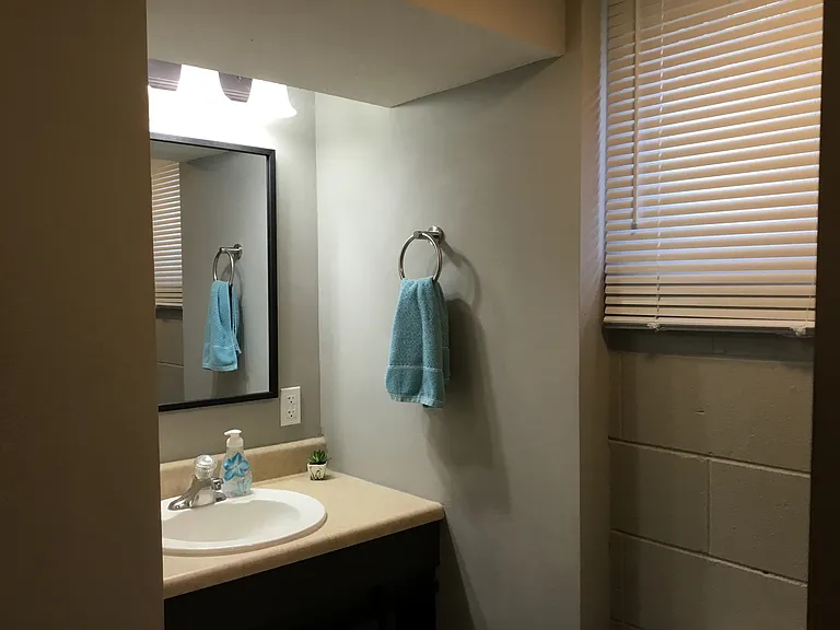 Downstairs Bath
