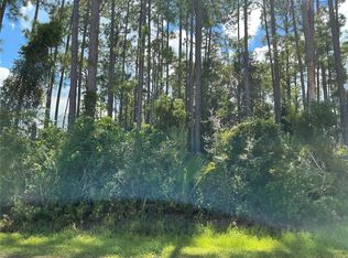53 Fenwick Ln LOT 24, Palm Coast, FL 32137