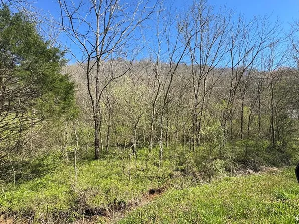 0 Acorn Ln Lot 3, Gainesboro, TN 38562