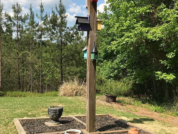 Bird Condo
