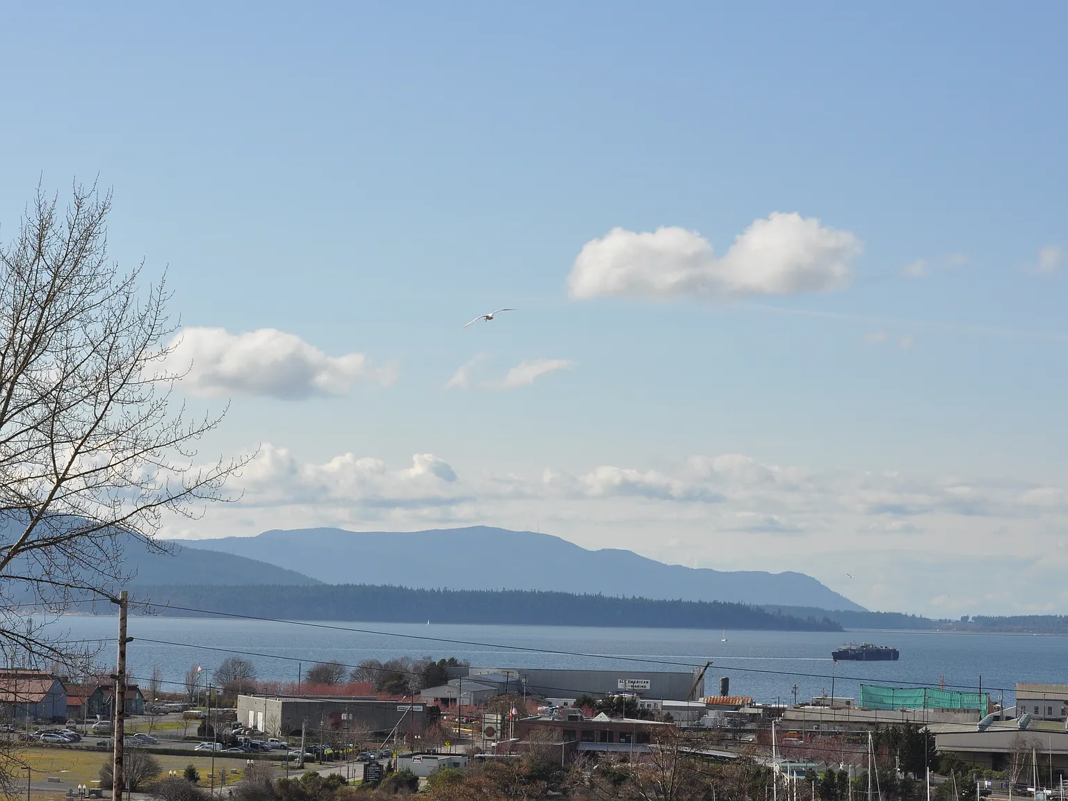 1 bed, 1900 sqft, $2,850 — Photo 2