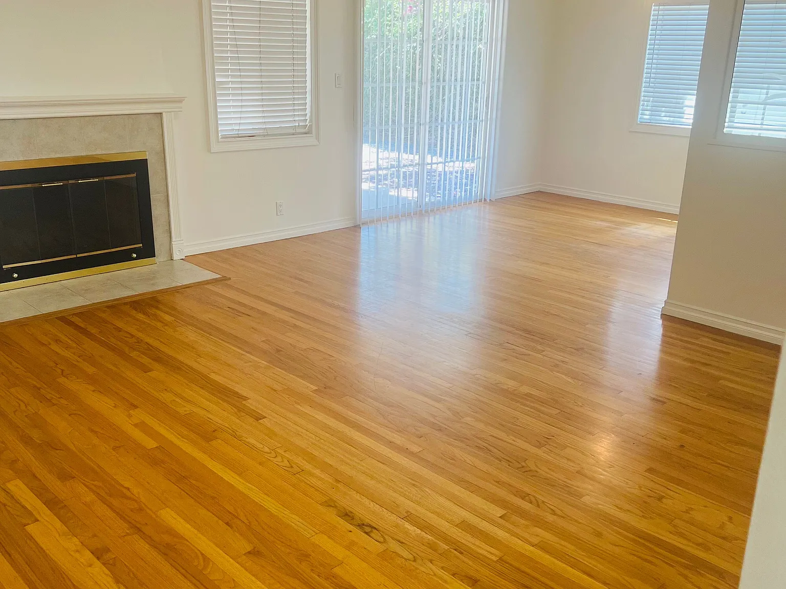 3 bed, 1297 sqft, $3,600 — Photo 2