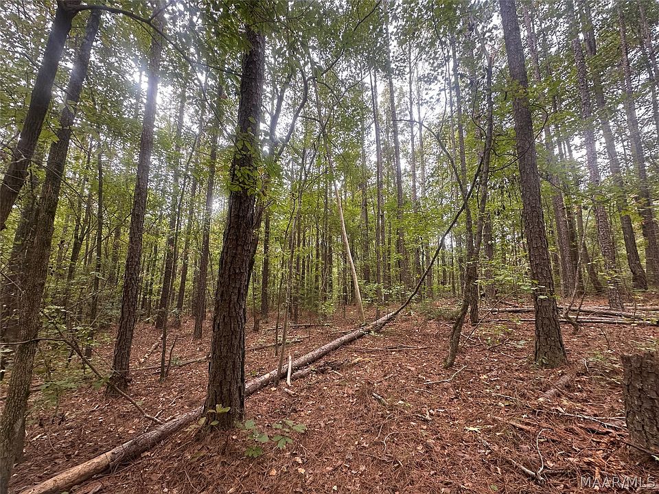 2nd image of 1620 Grass Farm Rd