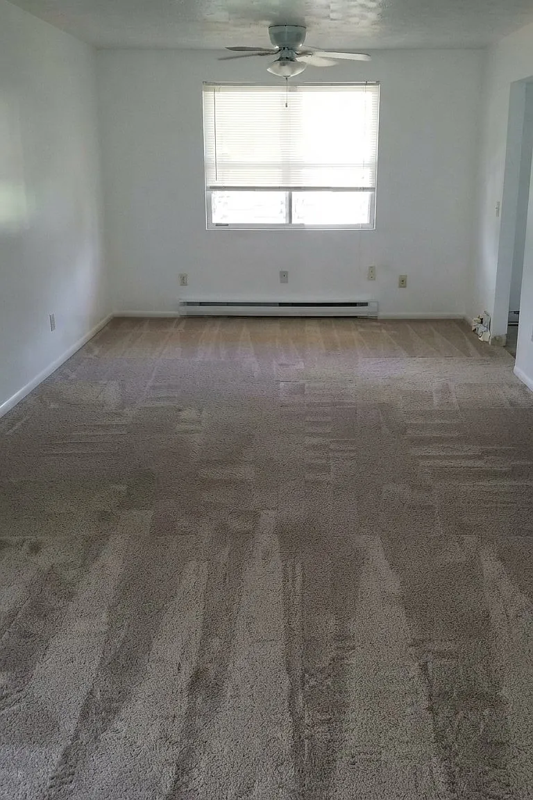 Newly renovated apartments — Photo 4